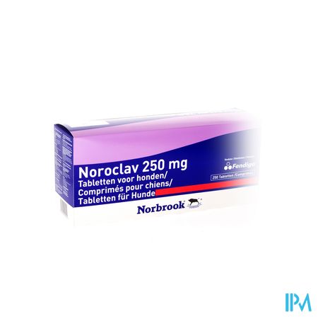 Noroclav Comp 250x250mg