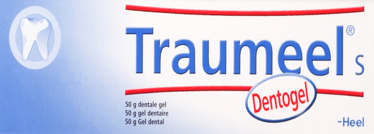 Traumeel S Dentogel 50g Heel 1