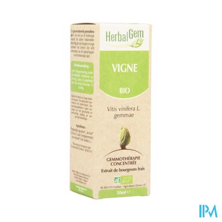 Herbalgem Wijnstok Maceraat 50ml