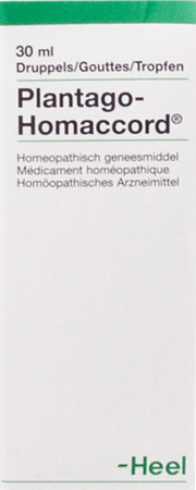Plantago-homaccord Gutt 30ml Heel 1