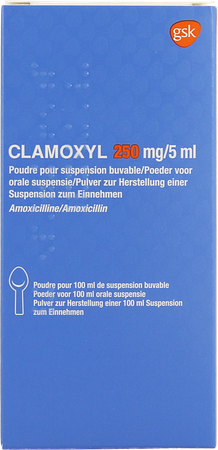 Clamoxyl 250mg/5ml Pdr Voor Siroop 50mg/ml Fl100ml 1