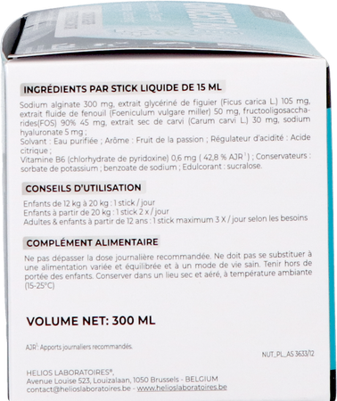 Gingest B6 Liqui Sticks 20x15ml 6