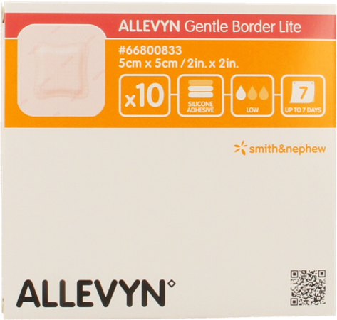 Allevyn Gentle Border Lite 5,0x 5,0cm 10 66800833 4