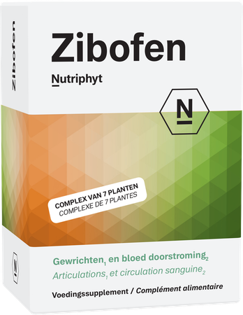 Zibofen 60 tab 6x10 blisters 1