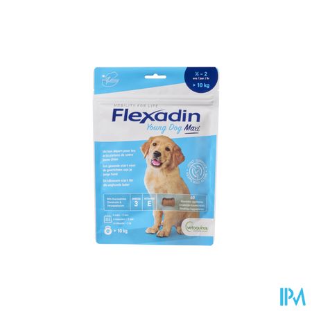 Flexadin Young Dog Maxi Chew 60