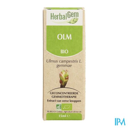 Herbalgem Olm Maceraat 15ml 3