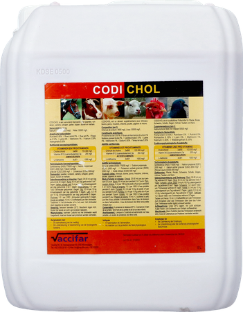 Codichol Nf Solution Orale 5l 1