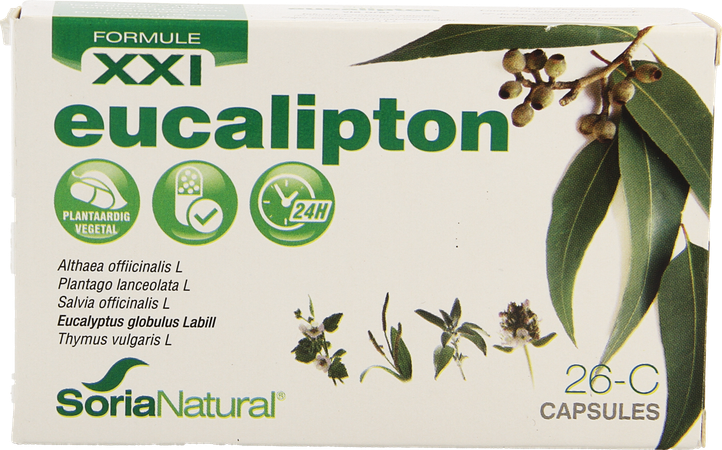 Soria 26c Eucalipton Xxi Caps 30 1