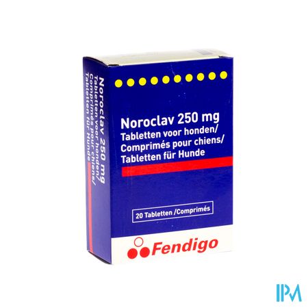 Noroclav Hond Comp 20x250mg