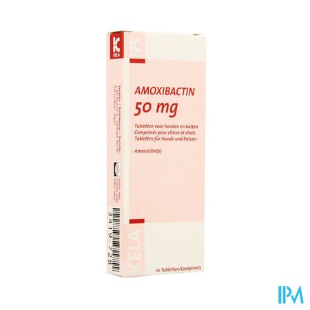 Amoxibactin 50mg Hond Kat Comp 10