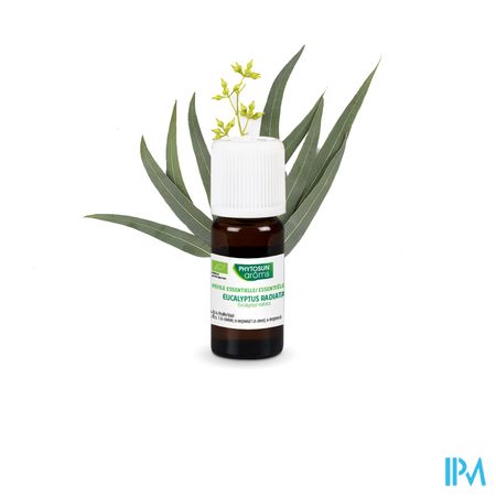 Phytosun Euc. Radiata Fr-bio-01 10ml 3