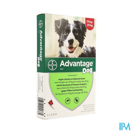 Advantage 250 Chiens 10<25kg 4x2,5ml