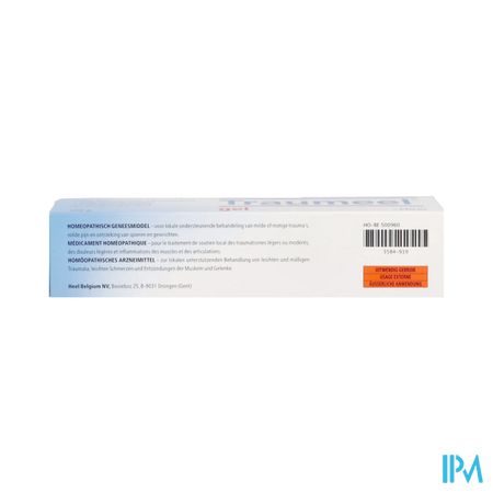 Traumeel Gel 100g Heel 2