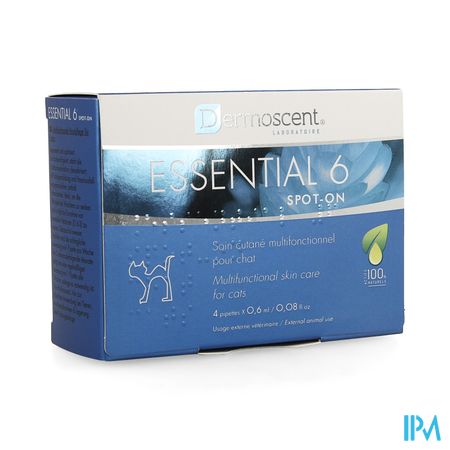 Essential 6 Spot-on Kat Pipet 4x0,6ml