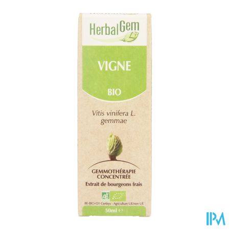 Herbalgem Wijnstok Maceraat 50ml 5