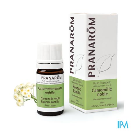 Pranarom Eo Roomse Kamille 5ml 4