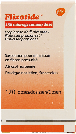 Flixotide 250 Inhal Dos 120x250mcg 1