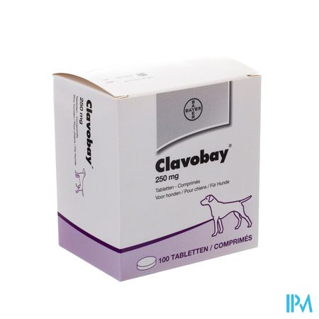 Clavobay 250mg Hond Comp 100