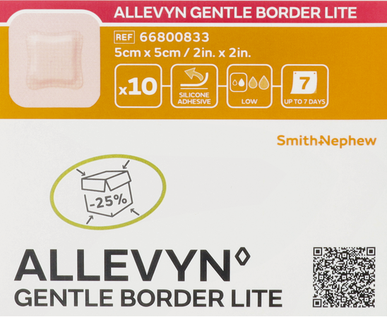 Allevyn Gentle Border Lite 5,0x 5,0cm 10 66800833 3