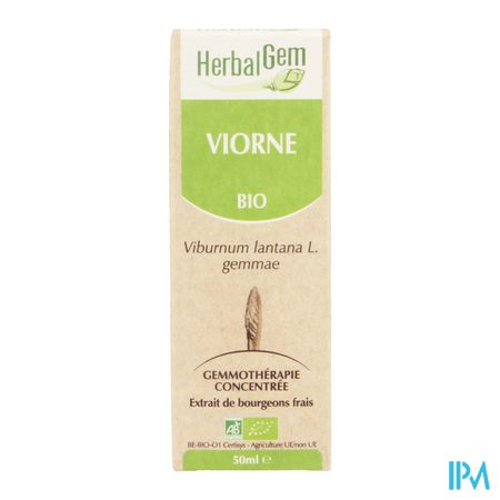 Herbalgem Wollige Sneeuwbal Maceraat 50ml 4