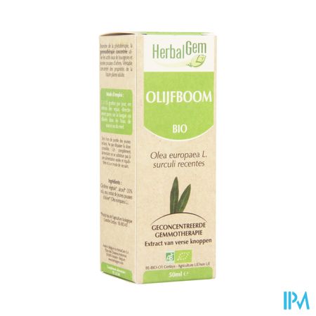 Herbalgem Olijfboom Maceraat 50ml