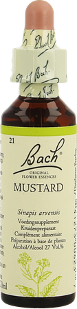 Bach Flower Remedie 21 Mustard 20ml 4