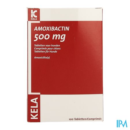 Amoxibactin 500mg Hond Comp 100 1