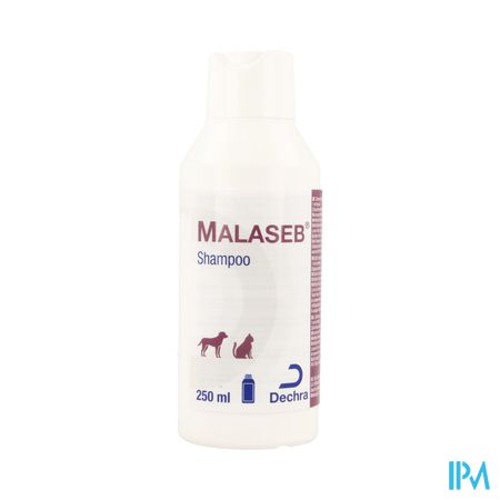 Malaseb Shampoo 250ml