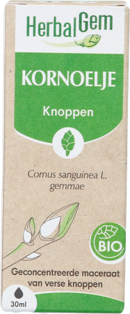 Herbalgem Kornoelje Bio 30ml 4