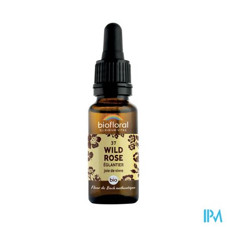 Biofloral Bachbloese.37 Wildrose Hondsroos Bio20ml
