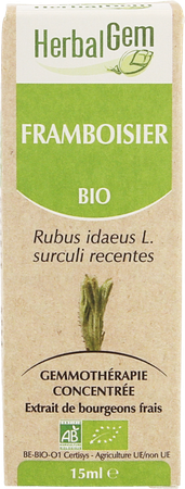 Herbalgem Frambozen Maceraat 15ml 11