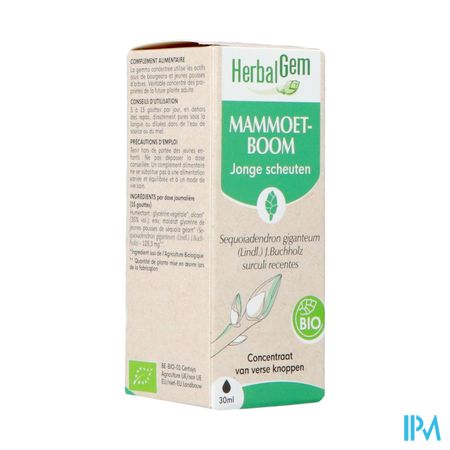 Herbalgem Mammoetboom Bio 30ml