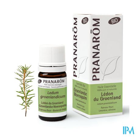 Ledon Groenland Bio Ess Olie 5ml Pranarom 5