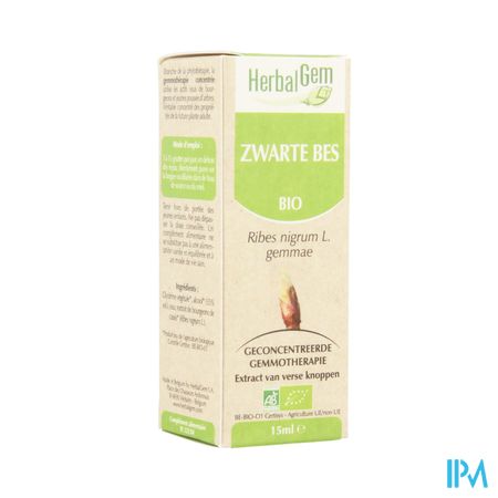 Herbalgem Zwarte Bes Maceraat 15ml