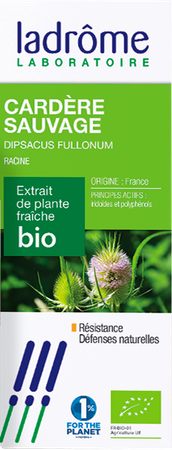 Ladrome Cardere Sauvages-dipsacus Fullon.rac. 50ml 1