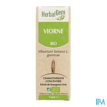 Herbalgem Wollige Sneeuwbal Maceraat 15ml 4