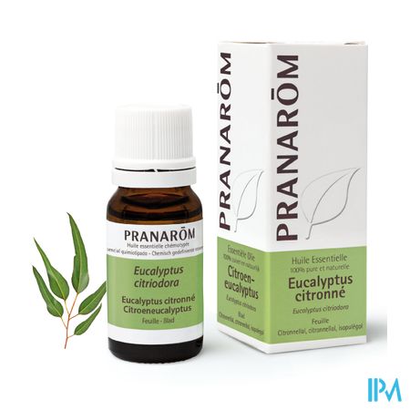 Eucalyptus Citroen Ess Olie 10ml Pranarom 3