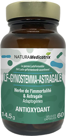 Lacto Fermentee Gynostemma Astragale Caps 60 3