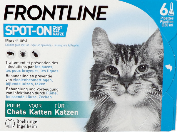 Frontline Spot On Kat 10% Pipet 6x0,50ml 1