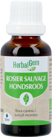 Herbalgem Rosier Sa Bio 30ml 1