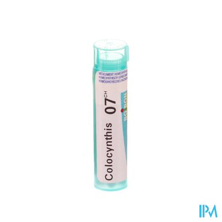 Colocynthis 7ch Gr 4g Boiron 1