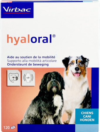 Hyaloral Comp 120 1