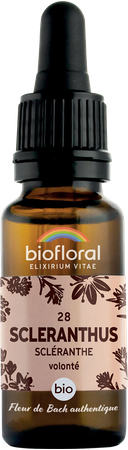 Biofloral Bachbloesem 28 Scleranthus Bio 20ml 1