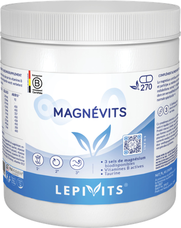 Magnevits V-caps 270 Lepivits 1