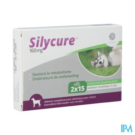 Silycure 160mg Comp 2x15