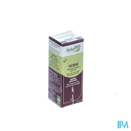 Herbalgem Wollige Sneeuwbal Maceraat 15ml 3