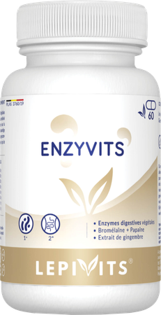 Enzyvits V-caps 60 Lepivits 1
