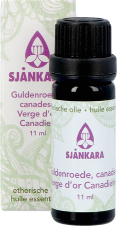 Sjankara Verge Dor Du Canada Huile Ess. 11ml 3