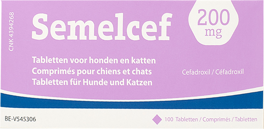 Semelcef 200mg Chien-chat Comp 100 1