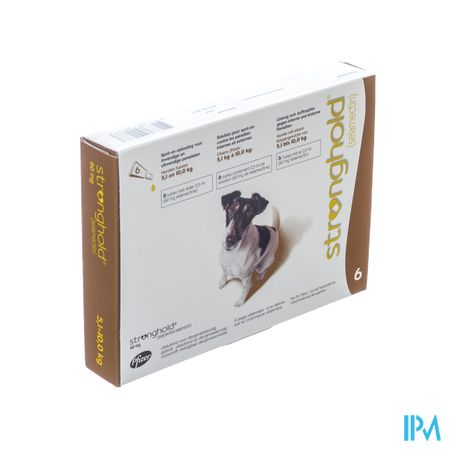 Stronghold 60mg Sol Spot On Pipet 1x6 60mg